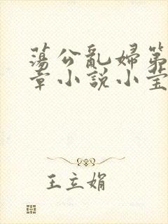 荡公乱妇第51章小说小莹