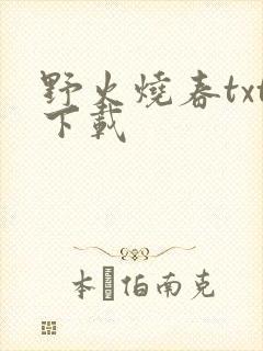 野火烧春txt下载