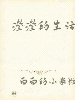 滢滢的生活日记