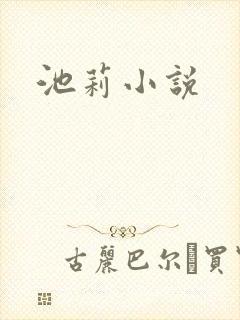 池莉小说