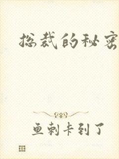 总裁的秘密情人