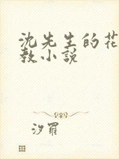 沈先生的花式管教小说