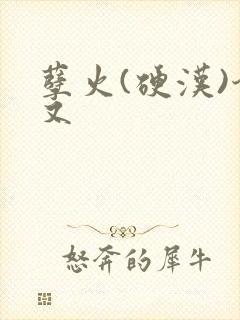 孽火(硬汉)今又