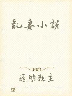 乱妻小说