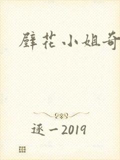 壁花小姐奇遇记