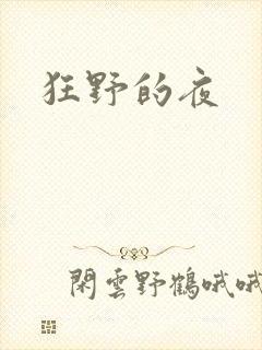 狂野的夜