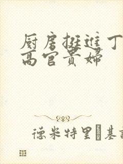 厨房挺进丁字裤高官贵妇