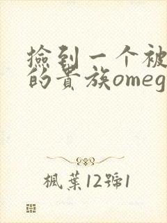 捡到一个被抹布的贵族omega