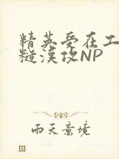 精英受在工地被糙汉攻NP