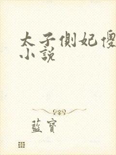 太子侧妃傻乎乎小说