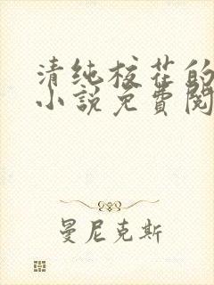 清纯校花的秘密小说免费阅读