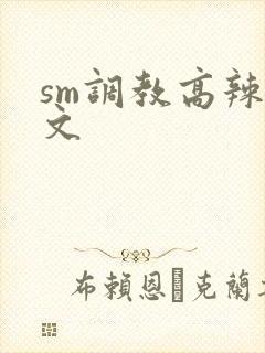 sm调教高辣h文