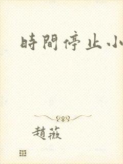 时间停止小说
