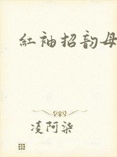 红袖招韵母攻略