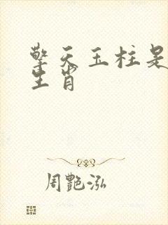 擎天玉柱是什么生肖