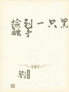 捡到一只黑心小触手