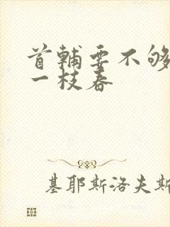 首辅要不够po一枝春