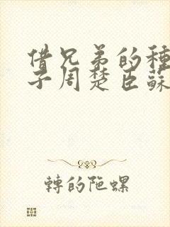 借兄弟的种生孩子周楚臣苏糖