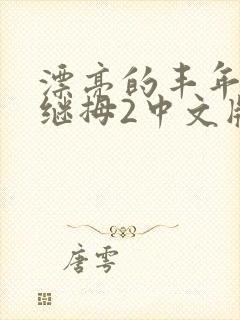 漂亮的丰年经的继拇2中文版