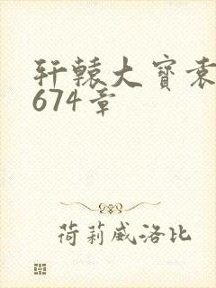 轩辕大宝袁雪妃674章