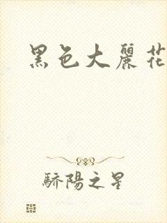 黑色大丽花图片