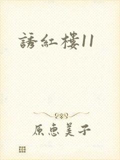 诱红楼11
