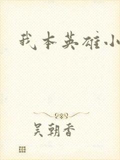 我本英雄小说
