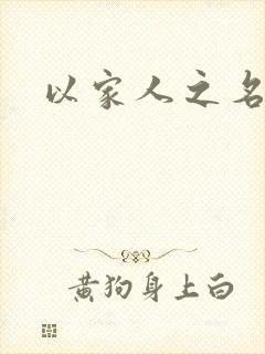 以家人之名小说
