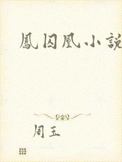 凤囚凰小说