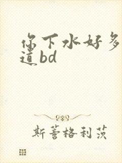 你下水好多下水道bd