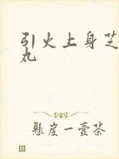 引火上身芝麻糖丸