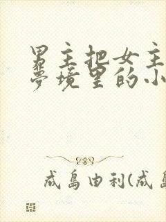 男主把女主拖进梦境里的小说