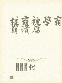 校霸被学霸玩到崩溃腐