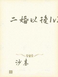二婚以后1v2