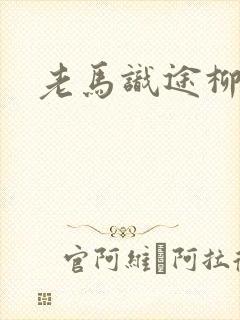 老马识途柳娇娇