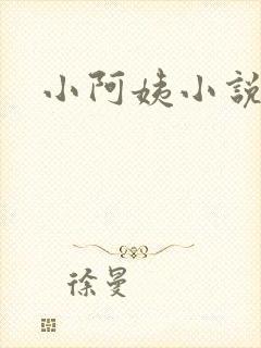 小阿姨小说