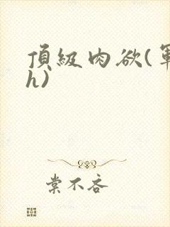 顶级肉欲(军高h)