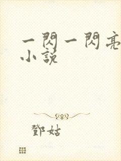 一闪一闪亮星星小说