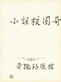 小说校园奇侠