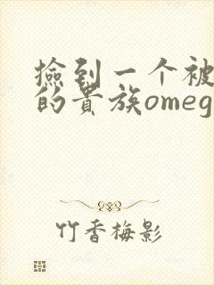 捡到一个被抹布的贵族omega