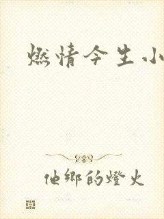燃情今生小说