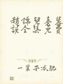 赵锦儿秦慕修小说全集免费