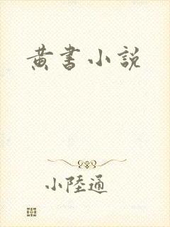 黄书小说