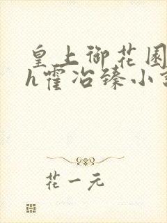 皇上御花园hlh霍冶臻小说