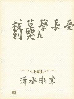 校草学长受被做到哭h