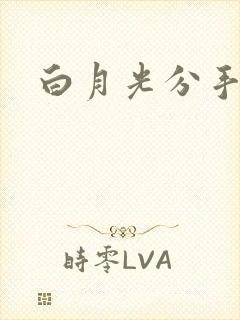 白月光分手日常