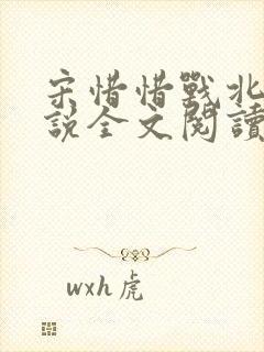 宋惜惜战北望小说全文阅读