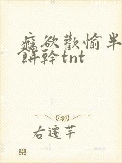 瘾欲欢愉半块小饼干tnt