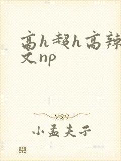 高h超h高辣h文np