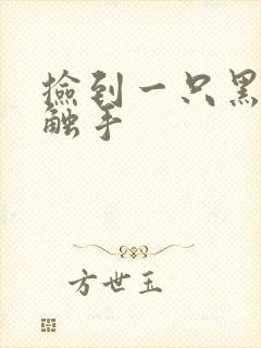 捡到一只黑心小触手